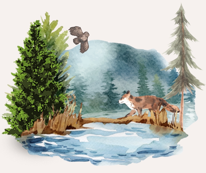 Brieven uit de vallei en de natuur